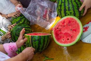 昆明高校吃瓜2022,吃瓜群众眼中的校园美食盛宴