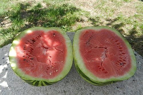 梦见来客人吃瓜了