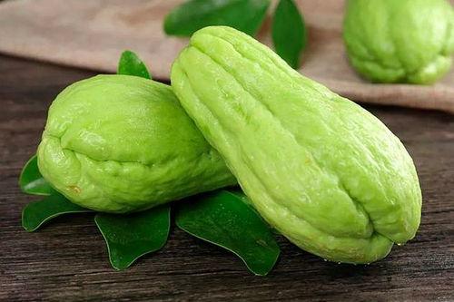 吃瓜盟主切片号,带你领略瓜界风云