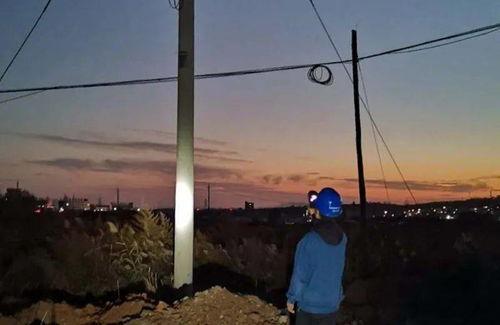 电线杆吃瓜,街头一幕引发的热议与思考