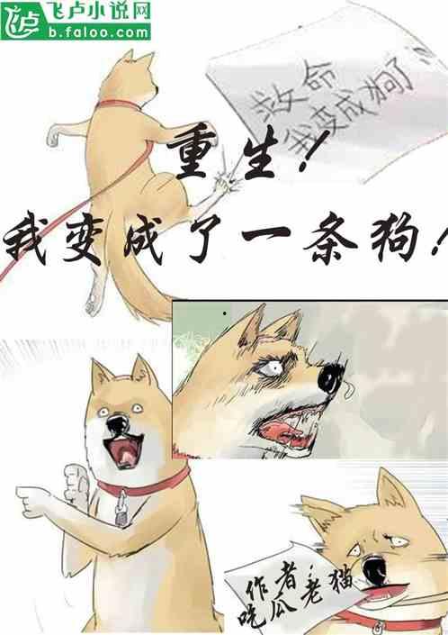 奇妙吃瓜小说免费阅读
