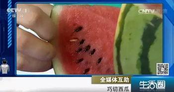 吃瓜不吐西瓜籽